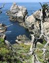 Craggy rocks at Point Lobos.